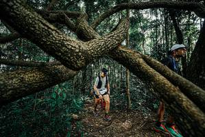 BIB: 
                            <button type="button" onclick="openModal(25665083)" class="btn btn-primary btn-sm float-right btn-popup" data-toggle="modal" data-target=".modal-high-quality">
                        <i class="fas fa-shopping-cart"></i> Add to Cart
                    </button>
                                            <button type="button" onclick="isThisMe(25665083, true)" class="btn btn-success btn-sm float-right btn-popup btn-isme hidden" data-toggle="tooltip" data-placement="bottom" title="นี่คือรูปของคุณใช่ไหม คลิกที่นี่เพื่อเอาเข้าอัลบั้ม">
                        <i class="fas fa-plus"></i> Add to album
                    </button>
                    <button type="button" onclick="isThisMe(25665083, false)" class="btn btn-warning btn-sm float-right btn-popup btn-isnotme hidden">
                        <i class="fas fa-ban"></i> Remove from album
                    </button>